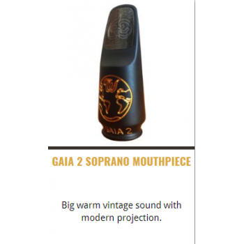 Theo Wanne-Shop-MOUTHPIECE-GAIA 2 SOPRANO MOUTHPIECE